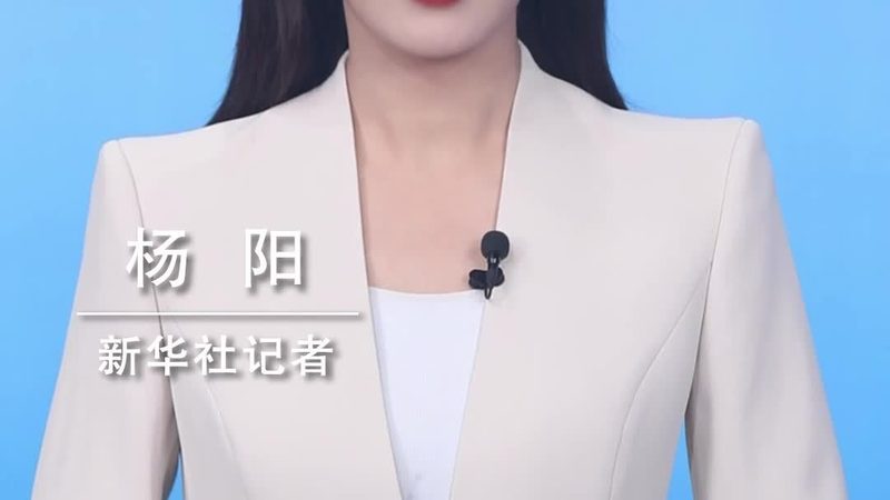 北京数字化解决方案服务公司口碑解析：如何选择优质服务？**