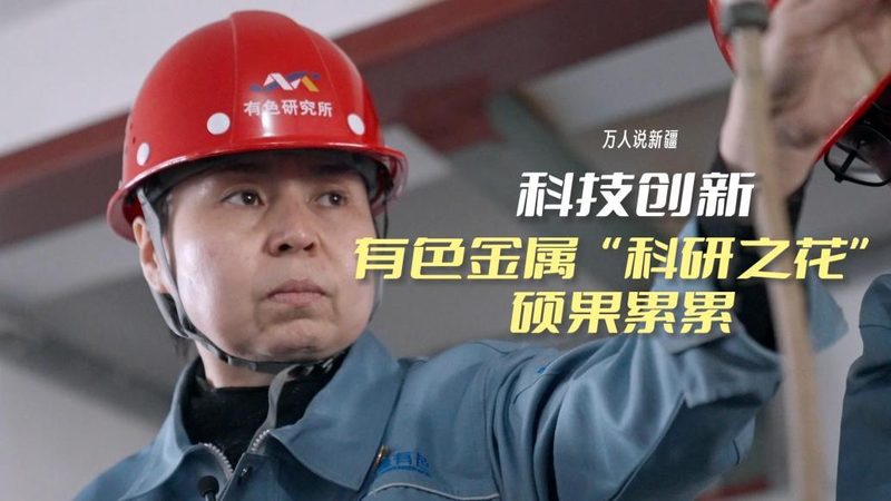 数据可视化配色软件厂家